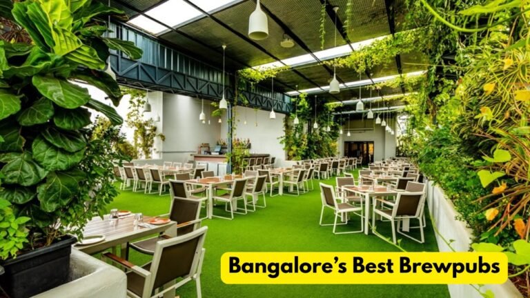 Bangalore’s Best Brewpubs
