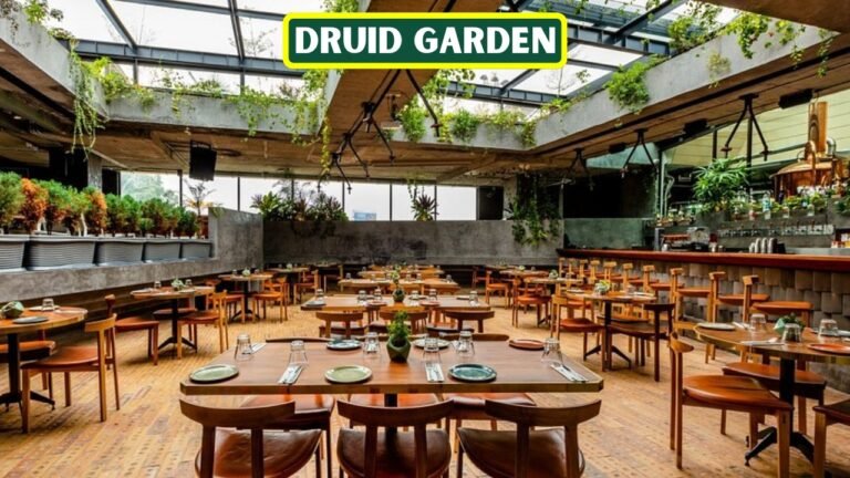 Top reasons to visit the druid garden in bangalore